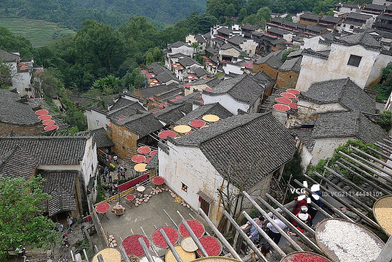 江西婺源秋晒图片素材