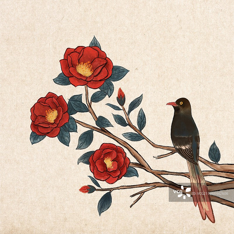 插画,鸟类,花鸟图,清新,叶子,自然,中国文化,无人,花,图片素材