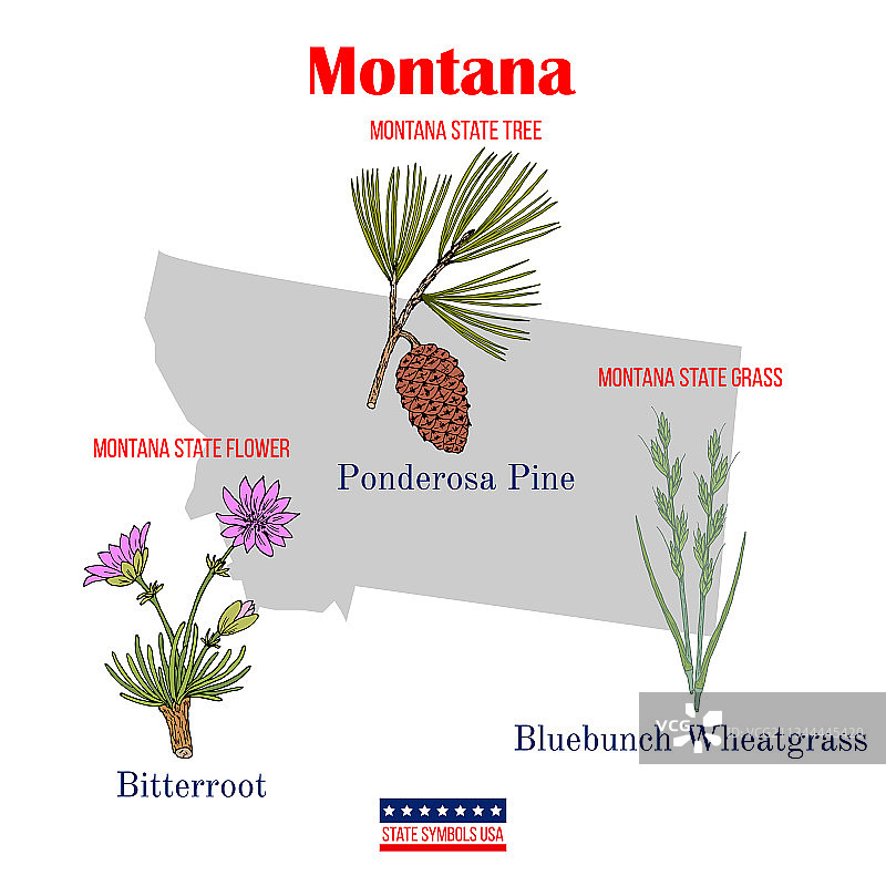 美国蒙大拿州官方标志图片素材