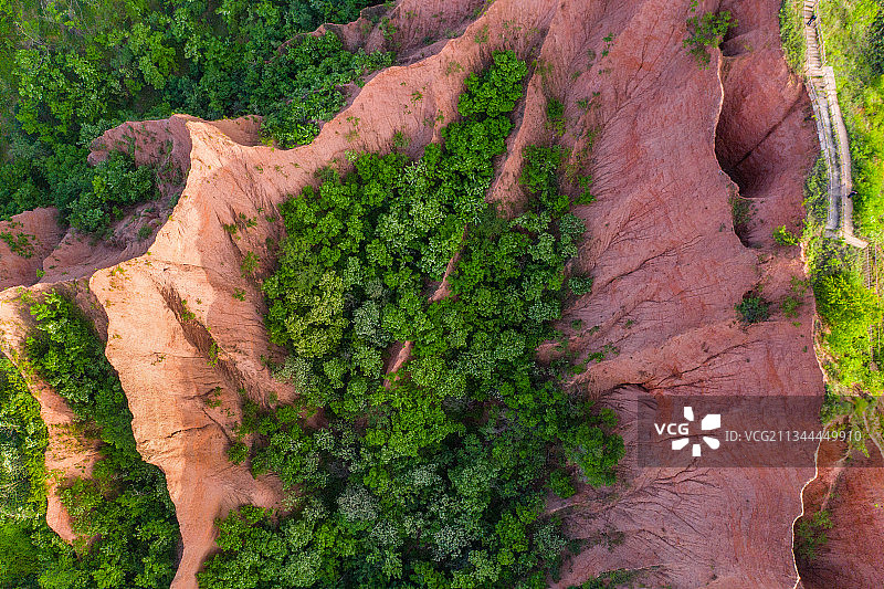 绿色丛林簇拥的丹霞地貌景观图片素材