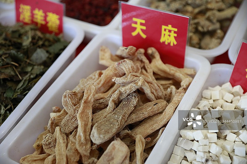 天麻是一种名贵的中药材。图片素材