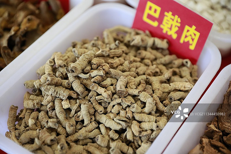 巴戟天是一种传统中药材图片素材