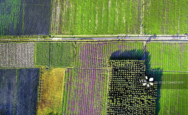 大地如茵图片素材
