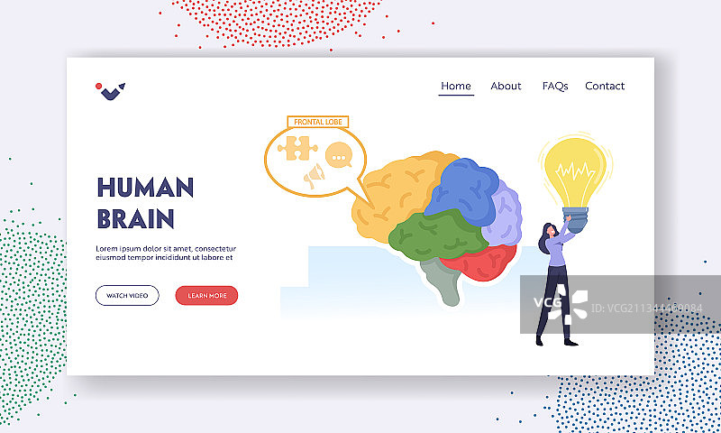 人脑结构解剖学着陆页模板图片素材