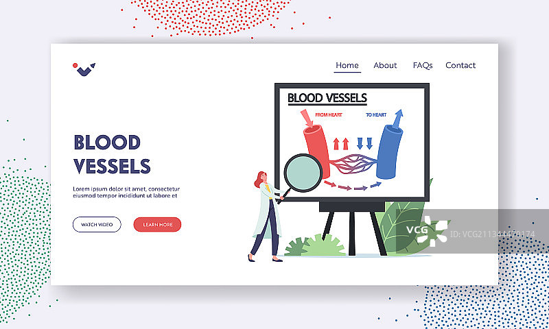 血管介绍页模板图片素材