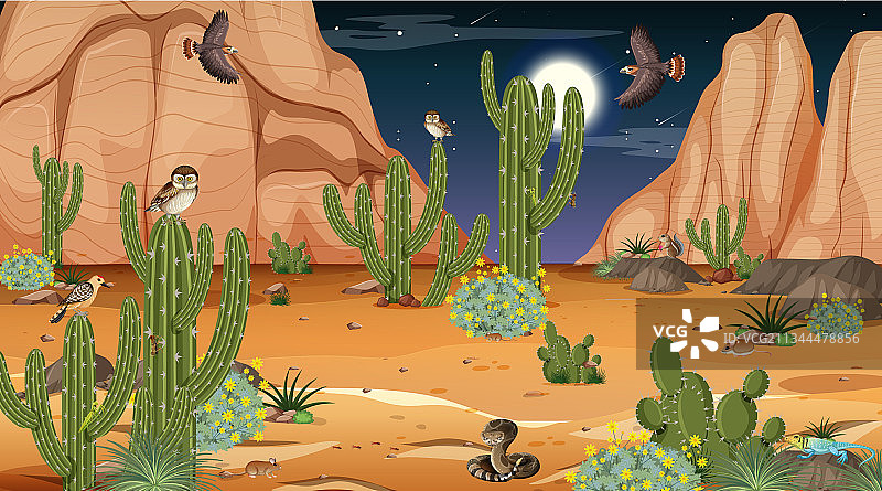 夜景沙漠森林景观图片素材