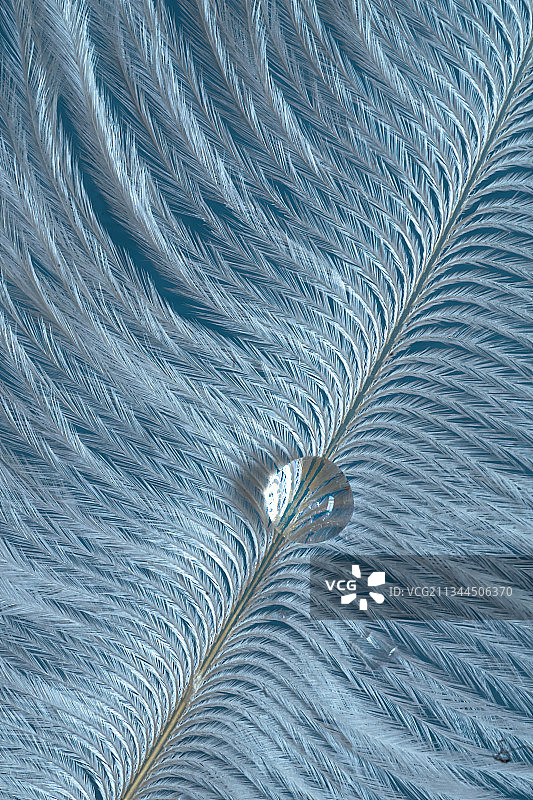 羽毛水滴图片素材