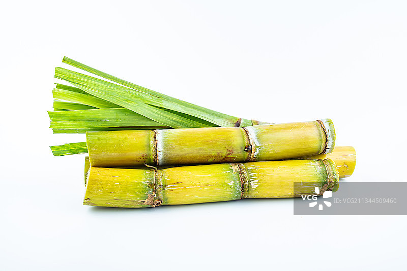 白背景上的禾本科黄皮果蔗图片素材