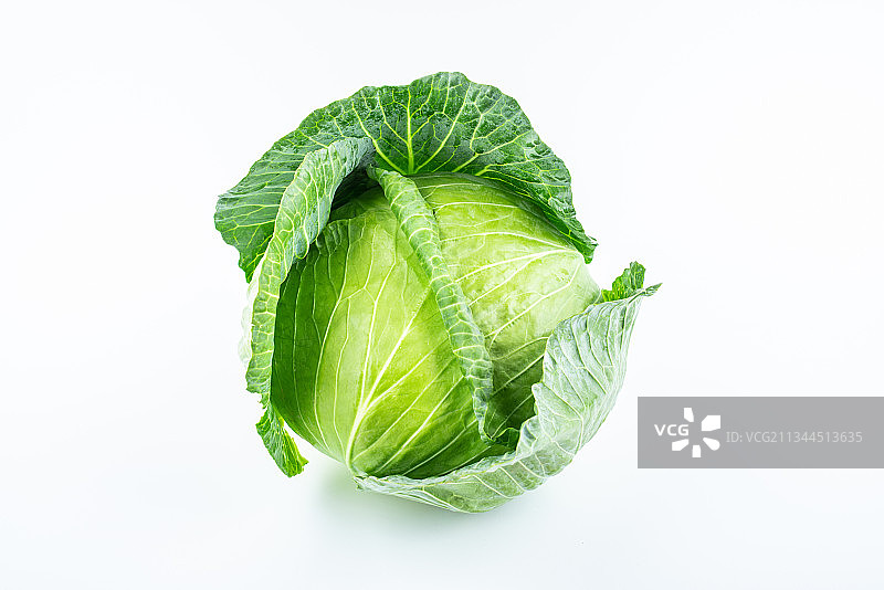 白背景上一棵包菜图片素材
