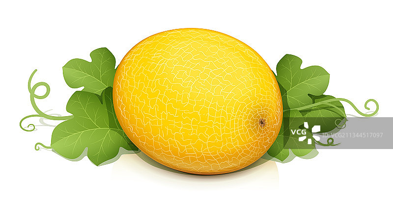 成熟美味多汁的哈密瓜图片素材