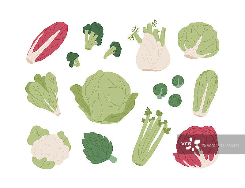 原生态有机农场蔬菜套装图片素材