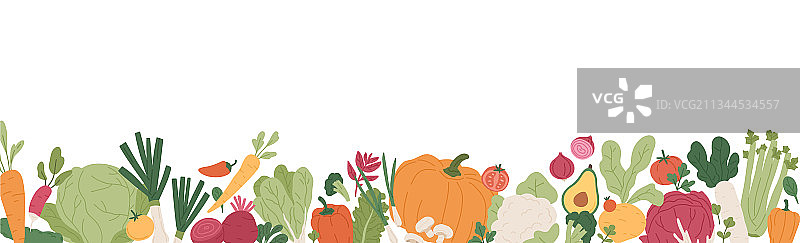 新鲜蔬菜和绿色蔬菜边框banner图片素材