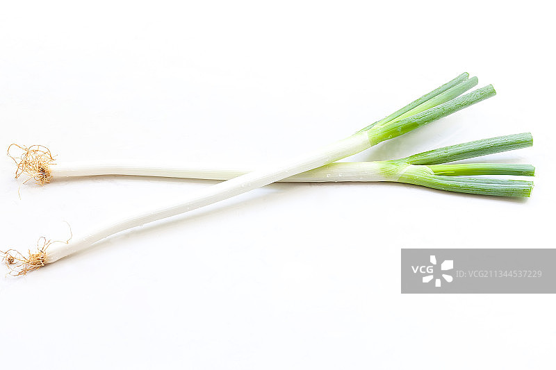 山东大葱图片素材