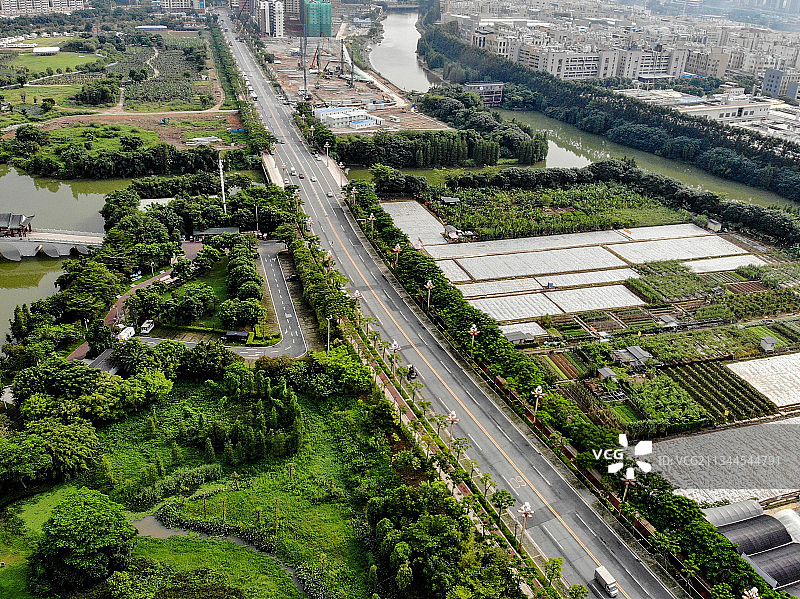 华阳湖湿地公园图片素材