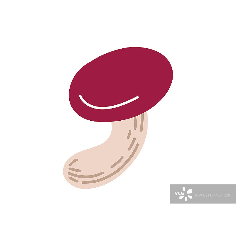 森林蘑菇图片素材