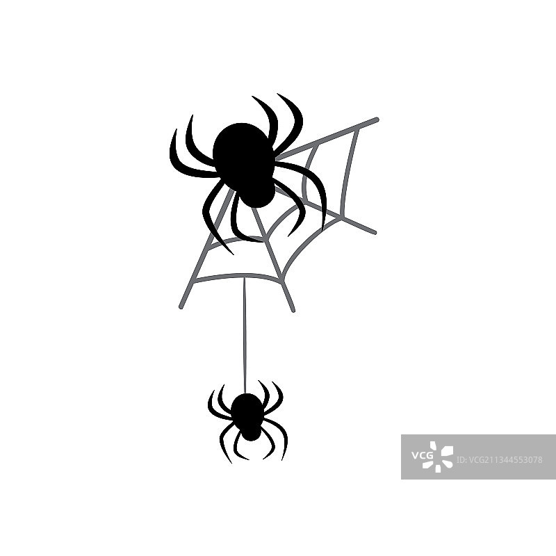 蜘蛛悬挂在蜘蛛网上图片素材
