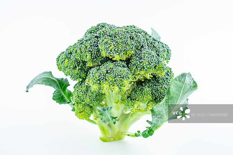 白背景上一棵新鲜蔬菜西蓝花图片素材