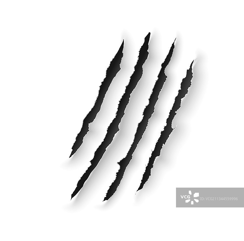 动物爪痕，熊和老虎的刮痕图片素材