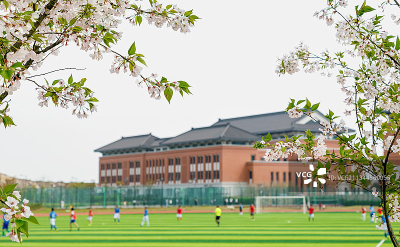 中国浙江大学舟山校区海洋学院校园风景建筑图片素材