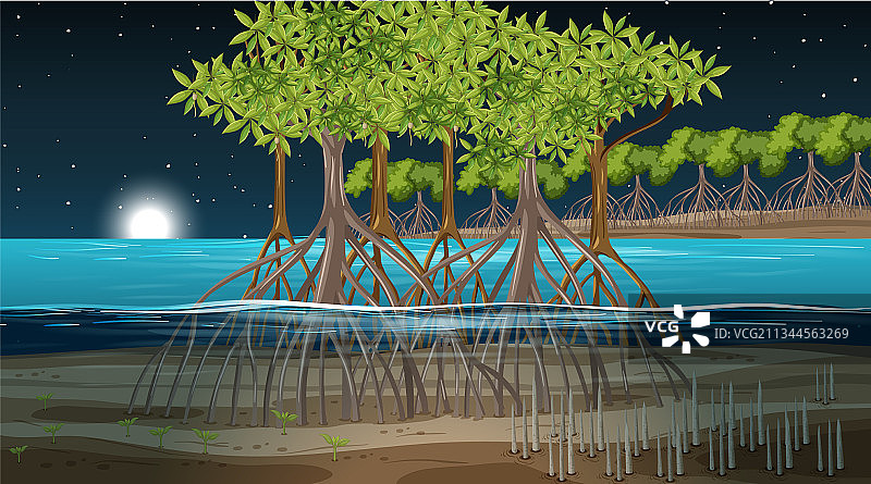 夜间红树林景观图片素材