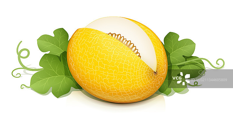 成熟美味多汁的哈密瓜图片素材
