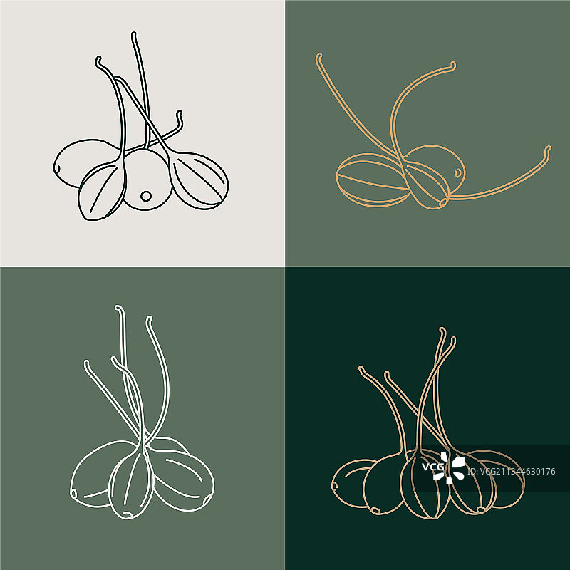 腌制刺山柑图片素材