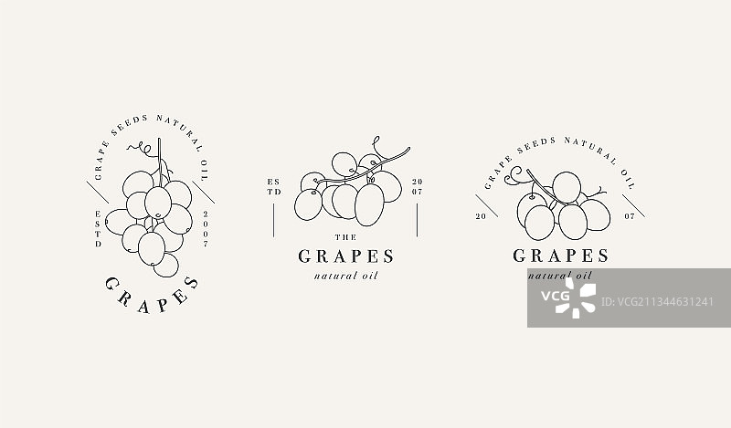 包装设计元素和图标合集图片素材