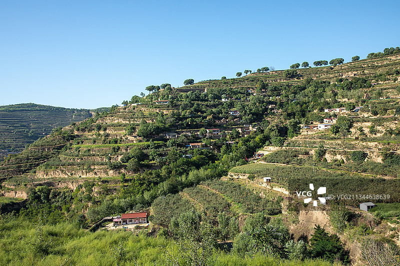 黄土高原上的静宁：全国苹果之乡图片素材