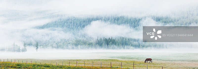 雾笼神仙湾（喀纳斯神仙湾）图片素材