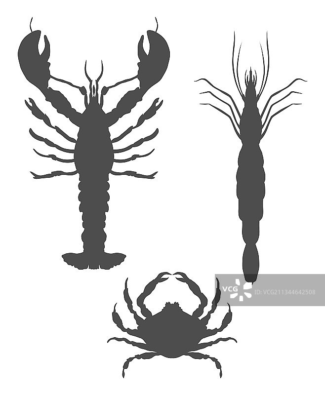 对称的龙虾、螃蟹和虾图标图片素材