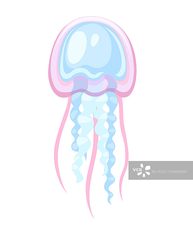粉蓝色热带水母图片素材
