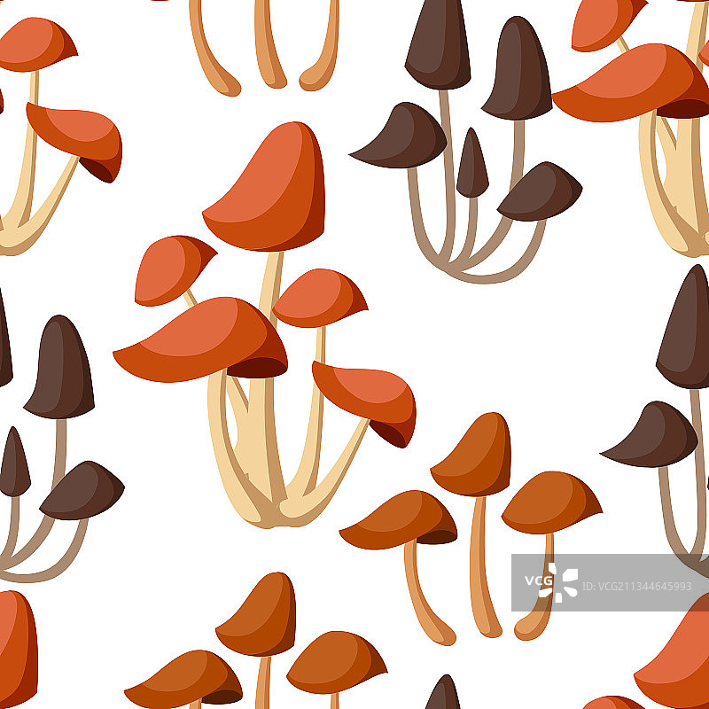 蜜环菌可食用森林无缝图案图片素材