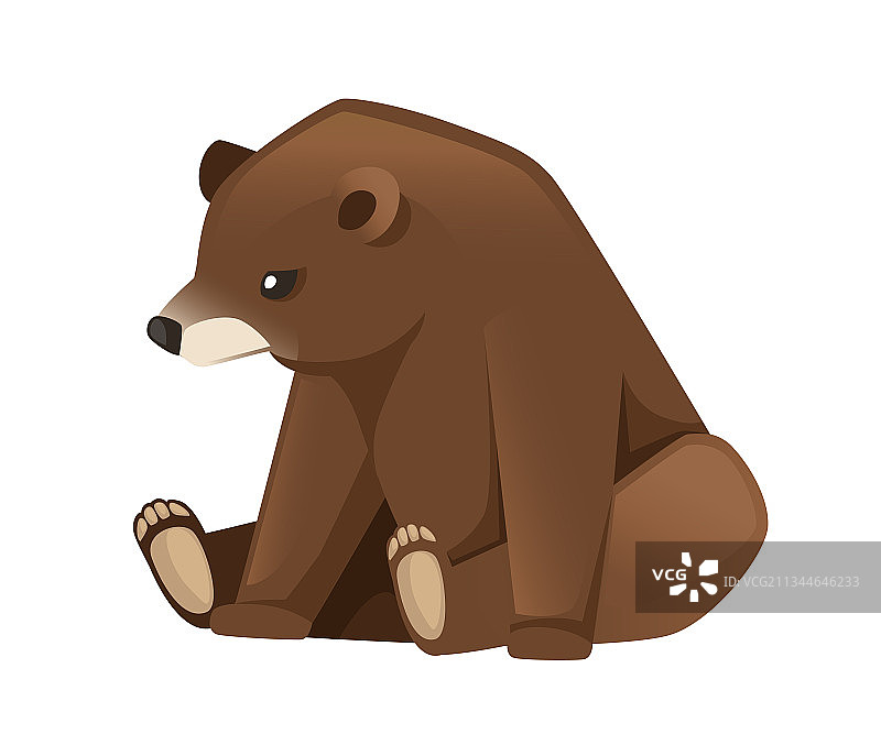 可爱的棕熊科哺乳动物图片素材