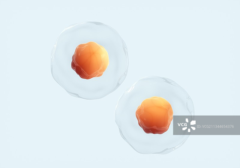 3D渲染的微观细胞图片素材