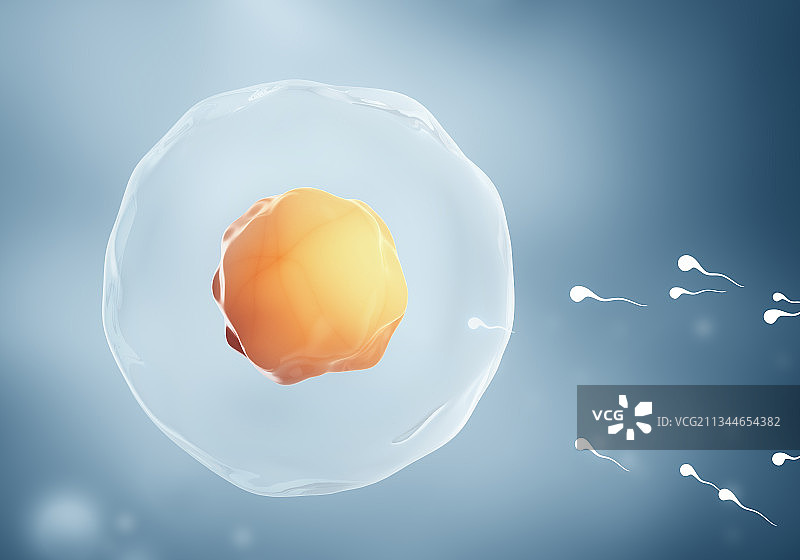 3D渲染的微观细胞图片素材