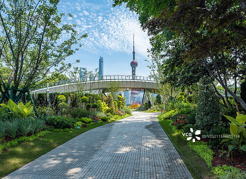 上海城市，环境生态，绿化图片素材