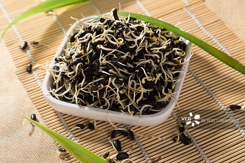 豆芽图片素材