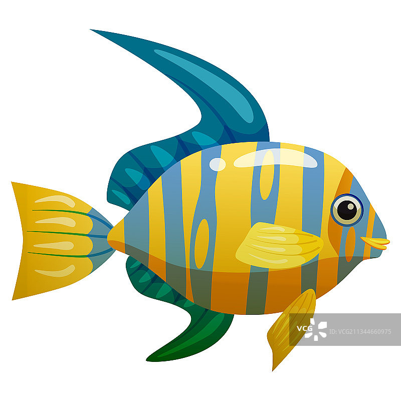 热带黄蓝鱼珊瑚礁奇异宠物图片素材