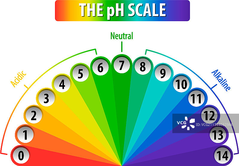 白色背景上的pH值刻度图片素材
