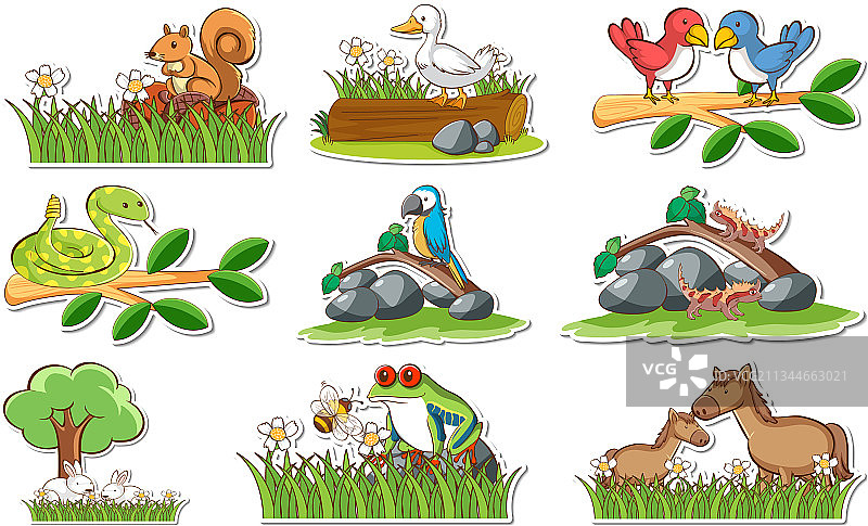 野生动物标签套装图片素材