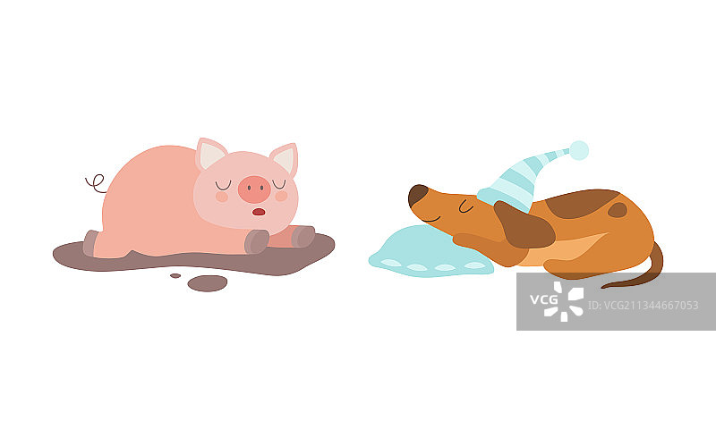 可爱的动物宝宝睡在床上套装图片素材