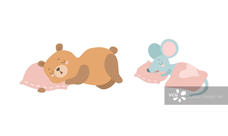 可爱的动物宝宝睡在床上套装图片素材