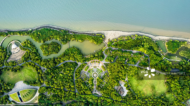 吴淞炮台湾湿地森林公园图片素材