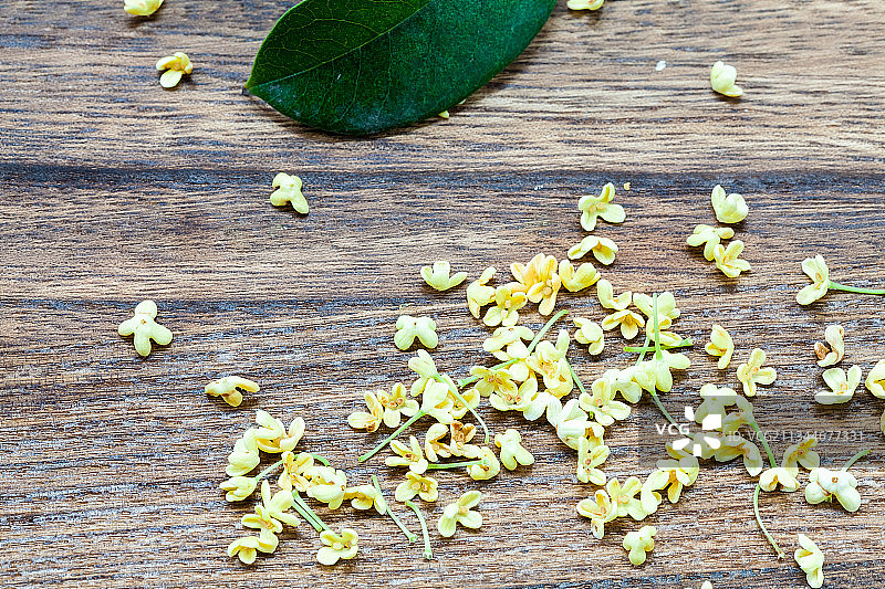 金色的桂花花瓣图片素材