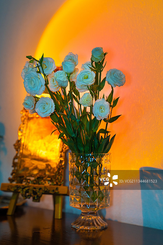 情人节玫瑰花图片素材