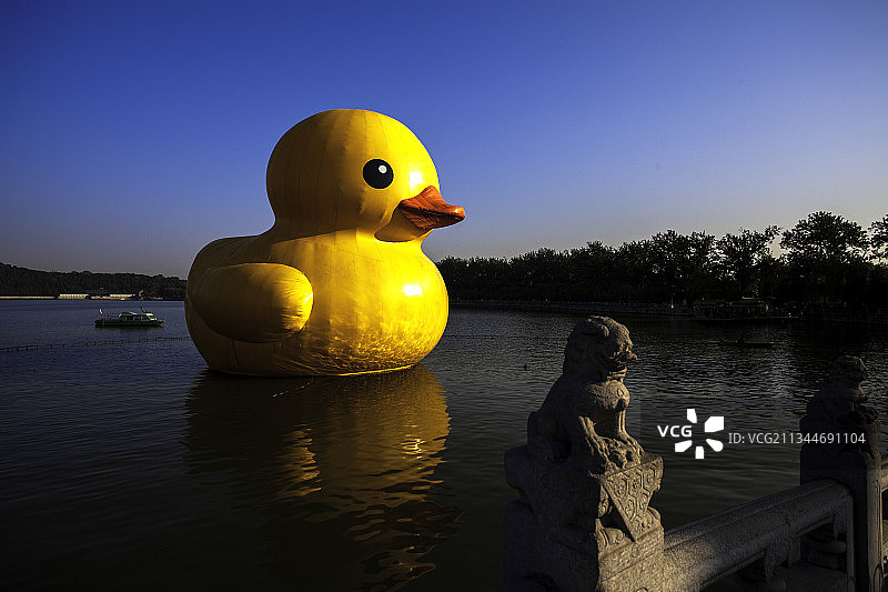 北京颐和园昆明湖中的大黄鸭图片素材