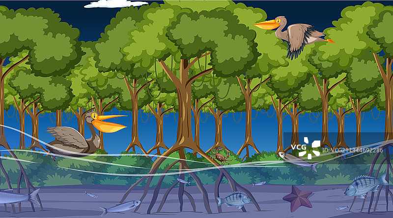 夜幕下红树林中的动物图片素材