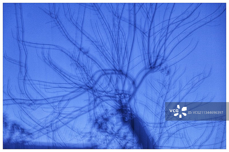 白色背景上的抽象图案特写图片素材