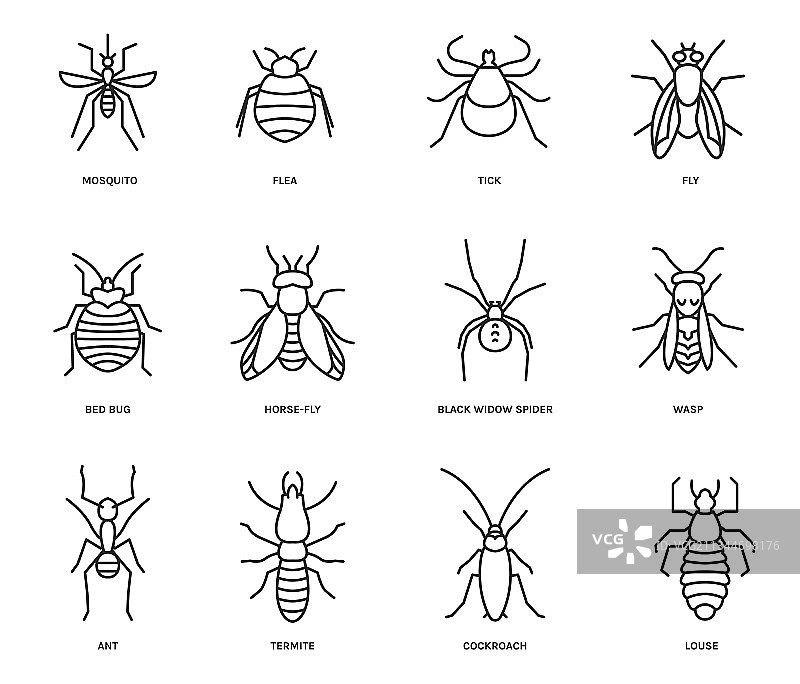 可编辑的昆虫图标集图片素材