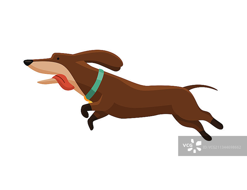 可爱的卡通腊肠犬画像图片素材